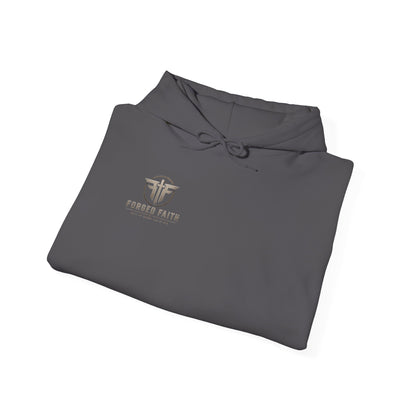 Hebrews 11:1 hoodie